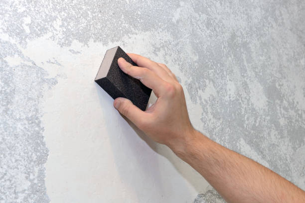 Best Mold Odor Removal Services  in Hawthorne, NV