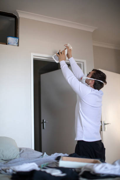 Best Mold Damage Restoration  in Hawthorne, NV
