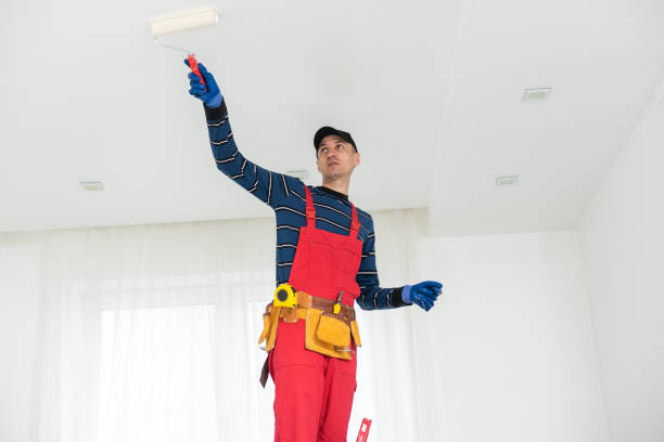 Best Post-Construction Mold Inspection  in Hawthorne, NV