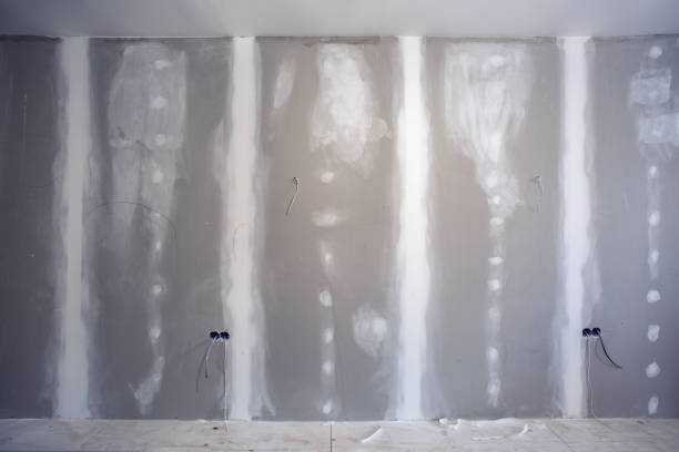 Best Black Mold Removal  in Hawthorne, NV